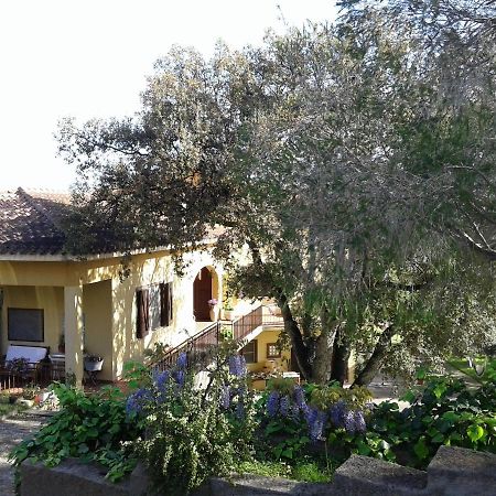 B&B Coldulivo Capoterra Exterior photo