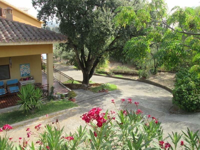 B&B Coldulivo Capoterra Exterior photo